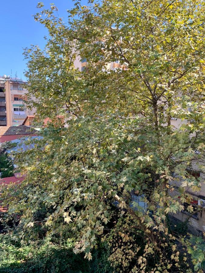 The Nest Albania Apartment Tirana Exterior photo